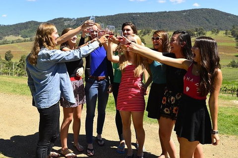 Hunter Valley Wine Tour Ex Newcastle Incl Lunch, Cheese, Chocolate & Distillery - Tourism Adelaide 10