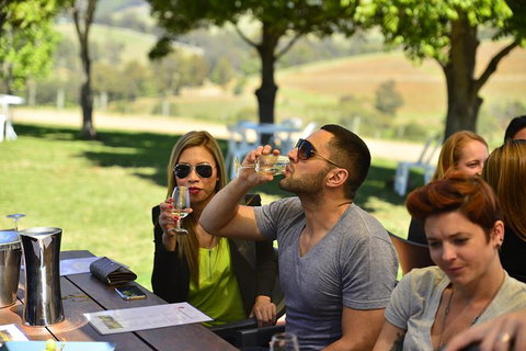 Hunter Valley Wine Tour Ex Newcastle Incl Lunch, Cheese, Chocolate & Distillery - Tourism Adelaide 0