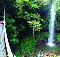 Rainforest  Waterfall Experience - Tourism Adelaide