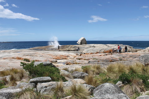 Bicheno Blowhole - Tourism Adelaide 1