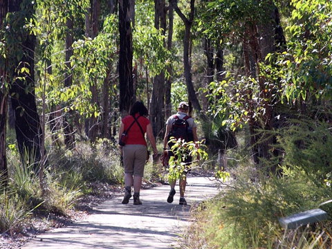 Forest Path, Crooked Brook - Tourism Adelaide 0