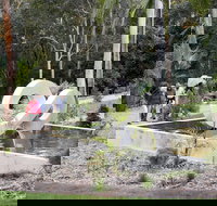 Maroochy Regional Bushland Botanic Garden - Tourism Adelaide