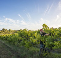 Mclaren Vale - Tourism Adelaide