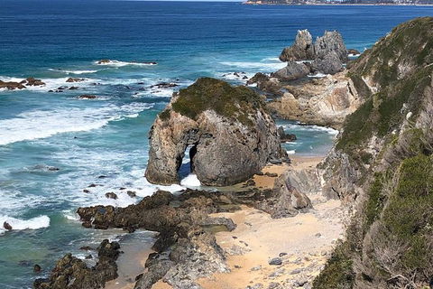 Narooma And Tilba Valley Private Tour - Tourism Adelaide 8