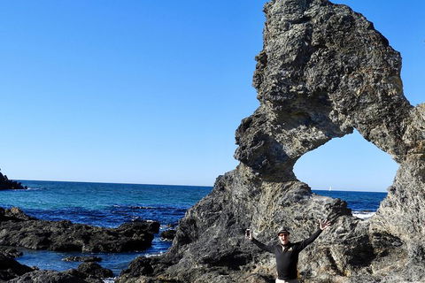 Narooma And Tilba Valley Private Tour - Tourism Adelaide 4