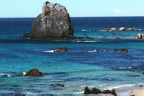 Narooma And Tilba Valley Private Tour - Tourism Adelaide 9