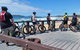 Sawtell To Coffs Harbour Bike Ride - thumb 0