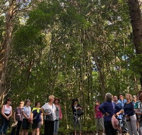 Breakfast Bushwalk Tour in Captain Cook's Monument - Tourism Adelaide