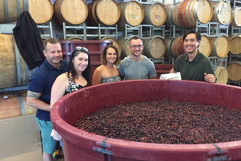 Hunter Valley Small Group Wine, Gin, Cheese & Chocolate Tour - Tourism Adelaide 0