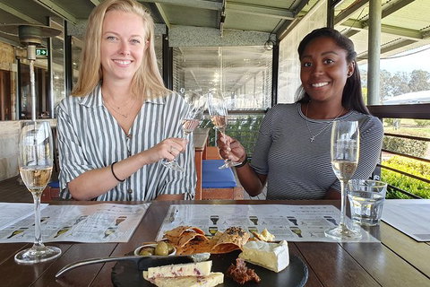 Hunter Valley Exclusive Kangaroo And Wine Tasting Experience - Tourism Adelaide 7