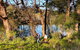 Fishermans Paradise Eco-walk - thumb 3