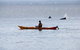 Half-Day Jervis Bay Sea Kayak Tour - thumb 4