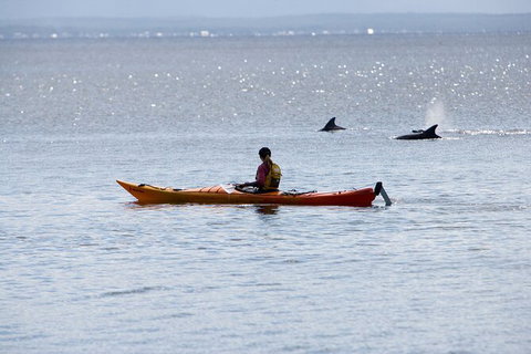 Half-Day Jervis Bay Sea Kayak Tour - Tourism Adelaide 4