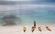 Half-Day Jervis Bay Sea Kayak Tour - thumb 2