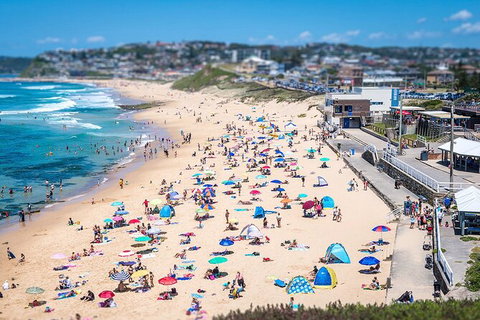 Newcastle Scenic Explorer - 2 Hour Tour By Minibus - Tourism Adelaide 6