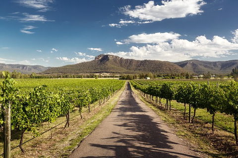 Hunter Valley Highlights Private Wine Tour From Sydney - Tourism Adelaide 2