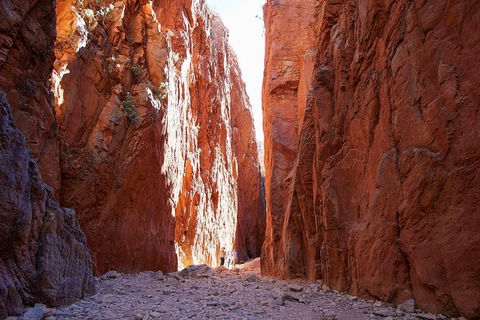 Best Of Alice Springs Full Day Tour - Tourism Adelaide 6