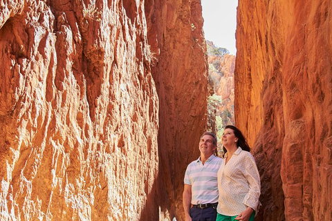 Best Of Alice Springs Full Day Tour - Tourism Adelaide 4