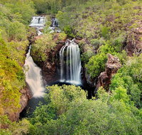 Full-Day Private Guided Tour to Litchfield National Park - Tourism Adelaide