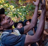 Arnhem Land Injalak Hill Full-Day Tour from Darwin - Tourism Adelaide