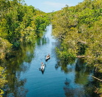 Cruise 'n' Canoe to Australia's Everglades - Tourism Adelaide