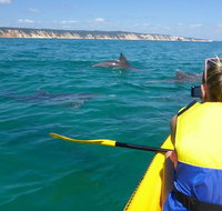 Kayak with Dolphins and 4WD Great Beach Drive Day Trip from Noosa - Tourism Adelaide