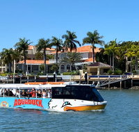 Aquaduck Sunshine Coast - Tourism Adelaide