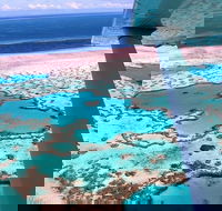 8-Day Cairns Tour Great Barrier Reef Kuranda Daintree Rainforest - Tourism Adelaide