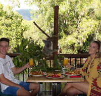 Hartley's Crocodile Adventures Entry Ticket and Breakfast with the Koalas - Tourism Adelaide