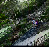 4-Day Cairns with Great Barrier Reef and Daintree Rainforest - Tourism Adelaide