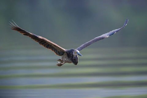 Daintree River Sunset Cruise - Tourism Adelaide 9