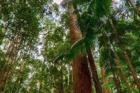 3-Day Fraser Island Hiking And 4WD Adventure From Hervey Bay - Tourism Adelaide 1