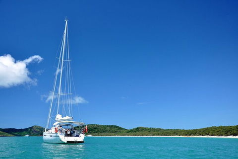 Sailing Curlew Escape On Moreton Bay - Tourism Adelaide 0