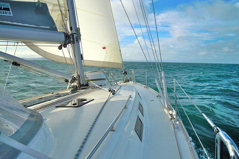 Sailing Curlew Escape On Moreton Bay - Tourism Adelaide 7