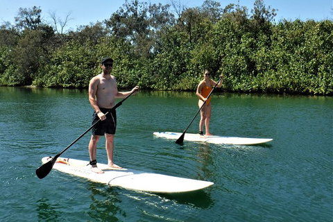Paddle Board Hire In Surfers Paradise - Tourism Adelaide 2
