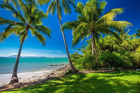 Cairns & Port Douglas All-Inclusive 7 Days Touring Package - Tourism Adelaide 2
