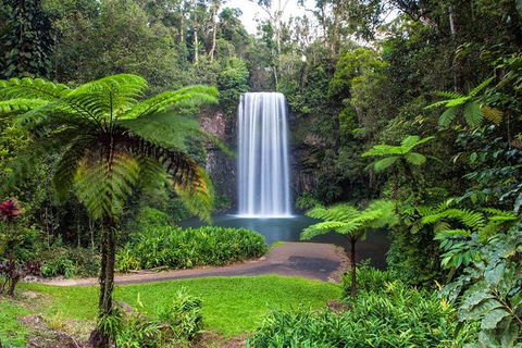 Cairns & Port Douglas All-Inclusive 7 Days Touring Package - Tourism Adelaide 5