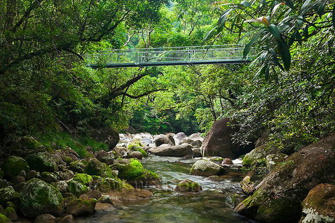 SHUTTLE - Mossman Gorge & Cooya Beach From Port Douglas (Return Transfer) - Tourism Adelaide 4