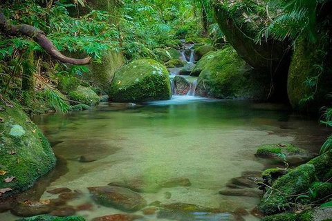 SHUTTLE - Mossman Gorge & Cooya Beach From Port Douglas (Return Transfer) - Tourism Adelaide 2