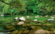 SHUTTLE - Mossman Gorge & Cooya Beach From Port Douglas (Return Transfer) - thumb 3