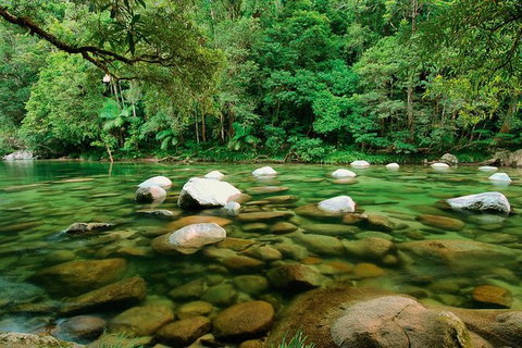 SHUTTLE - Mossman Gorge & Cooya Beach From Port Douglas (Return Transfer) - Tourism Adelaide 3