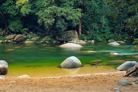 SHUTTLE - Mossman Gorge & Cooya Beach From Port Douglas (Return Transfer) - Tourism Adelaide 1