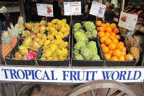 Northern Rivers Food & Wine - Tourism Adelaide 1