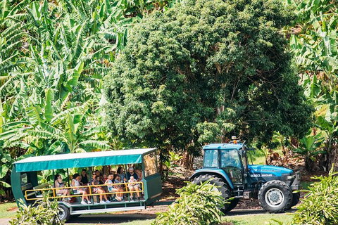 Northern Rivers Food & Wine - Tourism Adelaide 4