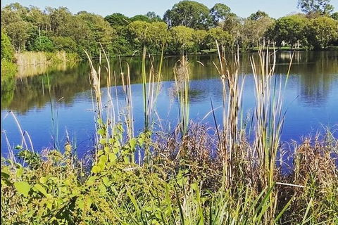 Wang\'ari Dreaming Bush Tucker Tour - Tourism Adelaide 3