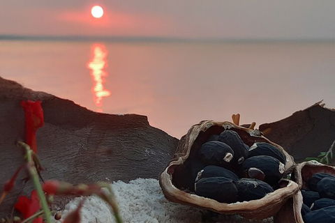 Wang\'ari Dreaming Bush Tucker Tour - Tourism Adelaide 1