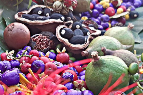 Wang\'ari Dreaming Bush Tucker Tour - Tourism Adelaide 0