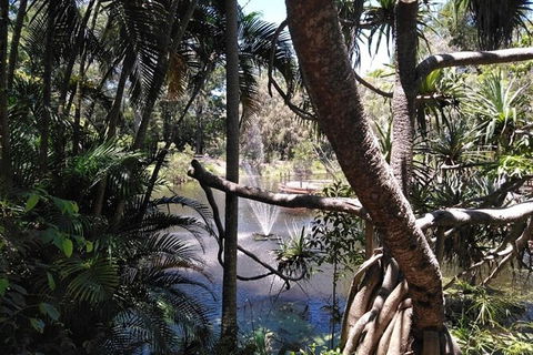 Wang\'ari Dreaming Bush Tucker Tour - Tourism Adelaide 4