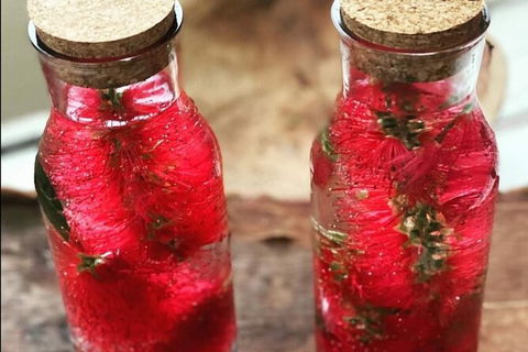 Wang\'ari Dreaming Bush Tucker Tour - Tourism Adelaide 6