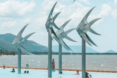 Cairns Airport Private Chater Transfer - Tourism Adelaide 4